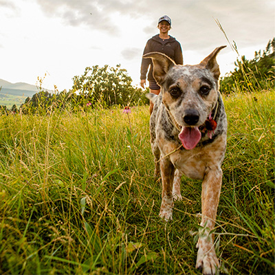 man with puppy in a field