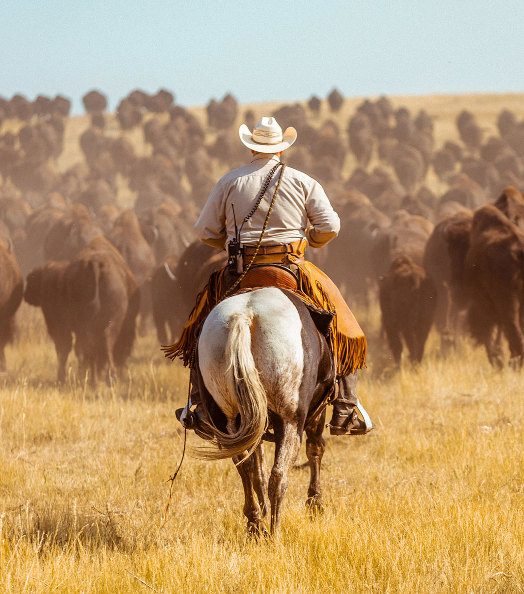 back of a person riding a horse